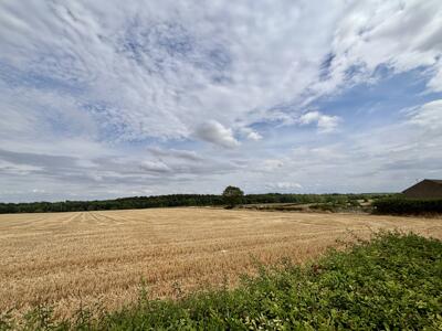 Picture 24